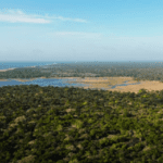 Kumana National Park-eLanka