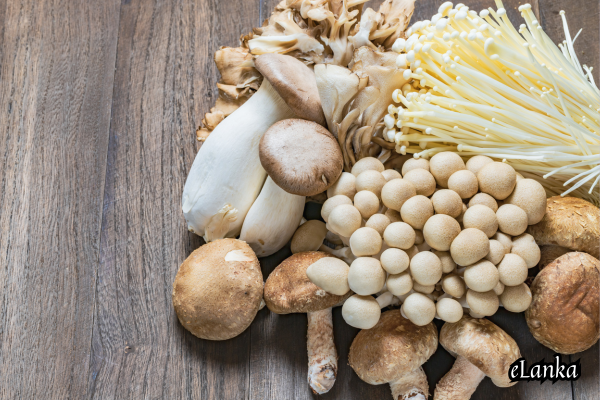 The Incredible Health Benefits of Mushrooms: A Natural Superfood – By Nadeeka – eLanka