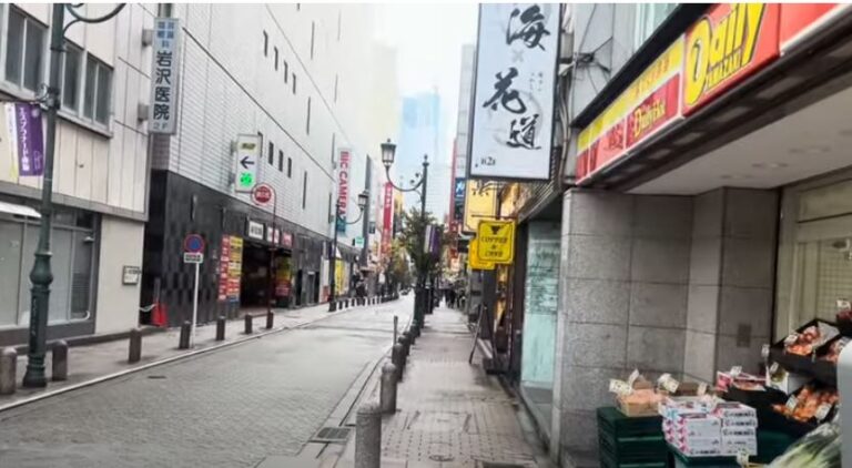 Random walking tour of Tokyo by an Australian
