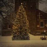 The History of Christmas Trees: From Pagan Roots to Modern Decor - By Malsha - eLanka