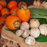 Areca catechu