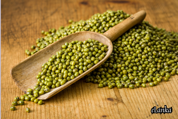 mung bean