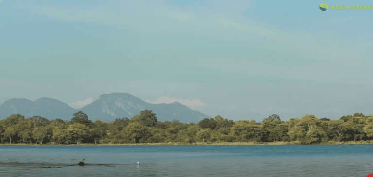 Kala Wewa, Sri Lanka | Land of Tuskers