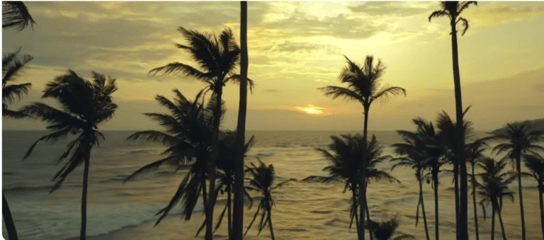 Island Beat of Sri Lanka – Yenuli Neriah Official Music Video