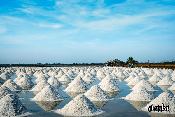 Sea salt