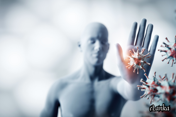 Immune System