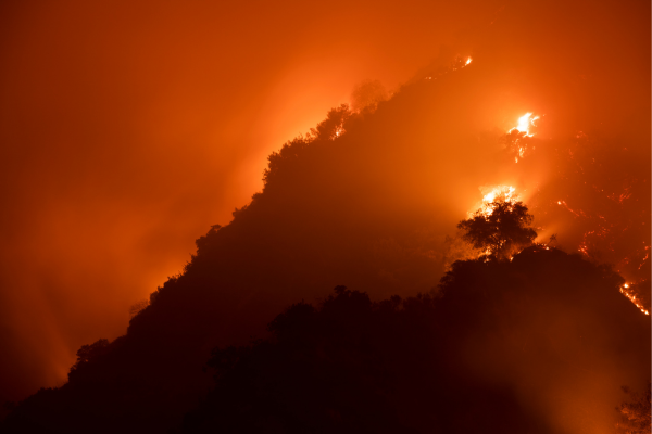wildfires