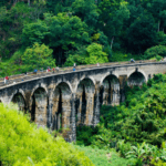 Ella Rock forest-eLanka