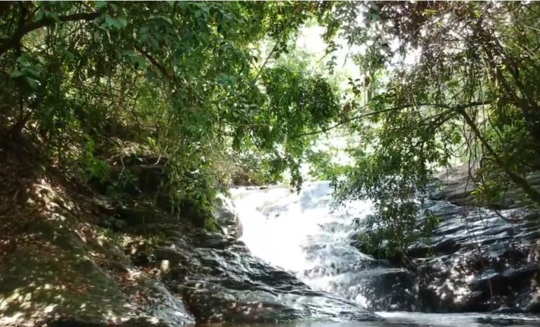 Exploring the Natural Splendor of Ingiriya: A Hidden Paradise in Sri Lanka – By Bhanuka – eLanka