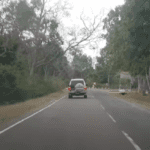 Kumana Unplugged-eLanka