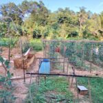 Land for sale in karagala - Gampaha district2