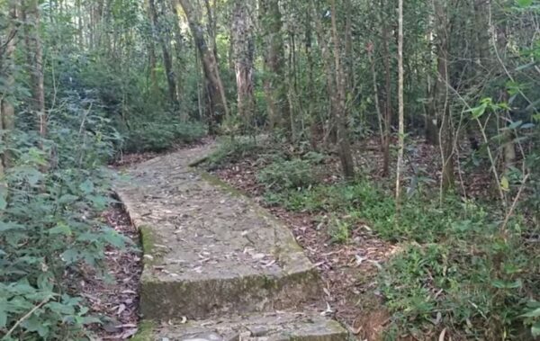 Galways Land National Park Sri Lanka
