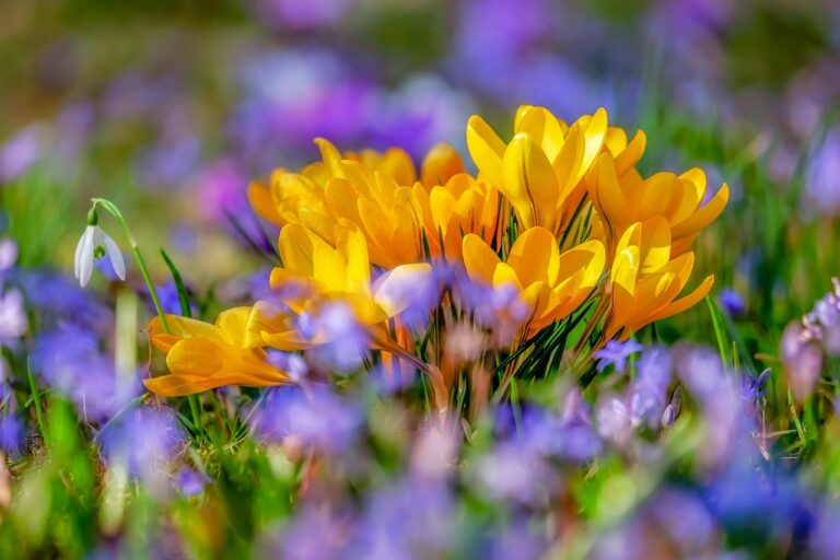 Good News From Jayam – By Jayam Rutnam