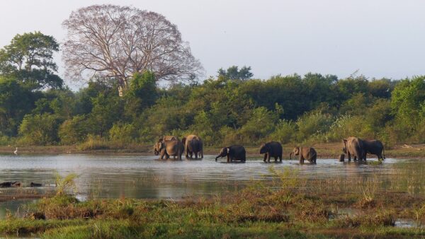 Most Amazing Places in Sri Lanka 03
