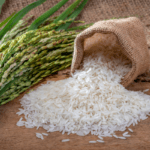 Rice - eLanka