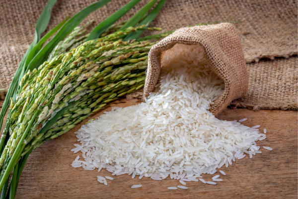 Rice - eLanka