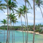 As Tourism Surges in Sri Lanka, Locals Are Asking Who Truly Benefits-eLanka