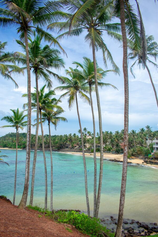 As Tourism Surges in Sri Lanka, Locals Are Asking Who Truly Benefits-eLanka