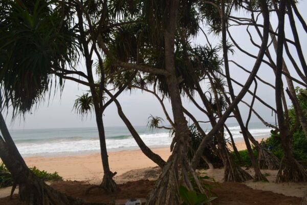 GALLE The Southern Delight in Sri Lanka - By Leelananda Ihalagamage