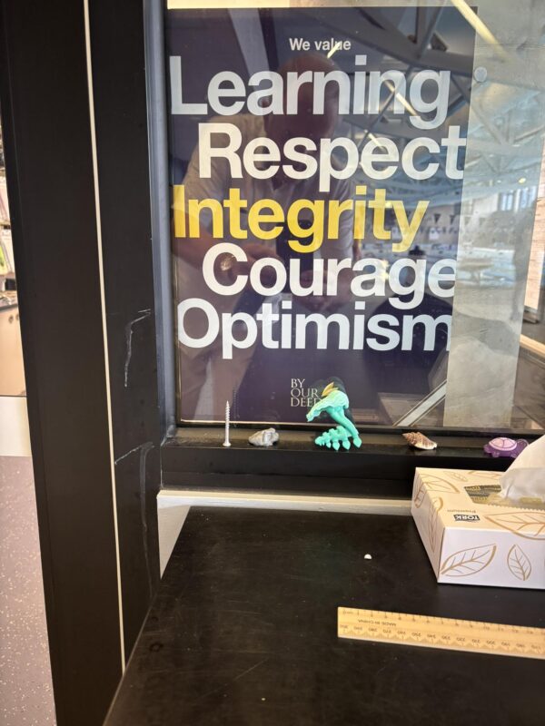 Lyceum Wattala Swimming Team’s Inspiring Melbourne Tour with Global-Ise and Swimming Victoria