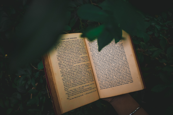 A COLLECTION OF SHORT STORIES - BY RODERIC GRIGSON