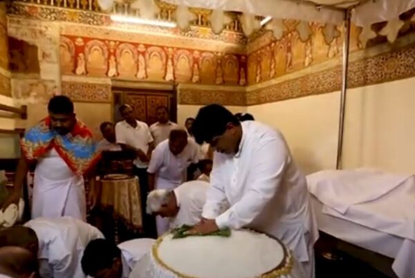 Aluth Sahal Mangallaya: Honouring the First Harvest at the Sacred Temple of the Tooth Relic, Kandy – By Malsha – eLanka
