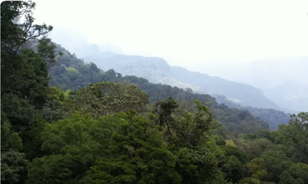 Knuckles Mountain Range-eLanka
