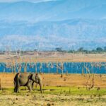 Kumana National Park