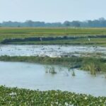 Lahugala National Park