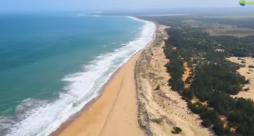 Leopard Beach