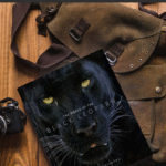 Black Lepord-eLanka