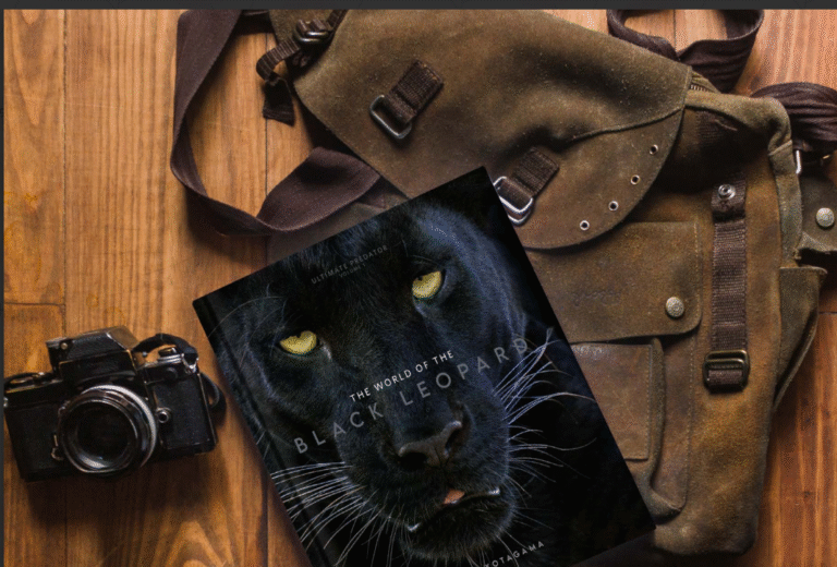 Launch of “The World of the Black Leopard” – Supporting the Little Hearts Project