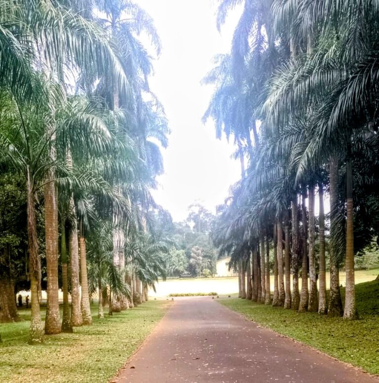 ROYAL BOTANICAL GARDENS – PERADENIYA SRI LANKA – By Leelananda Ihalagamage in Melbourne