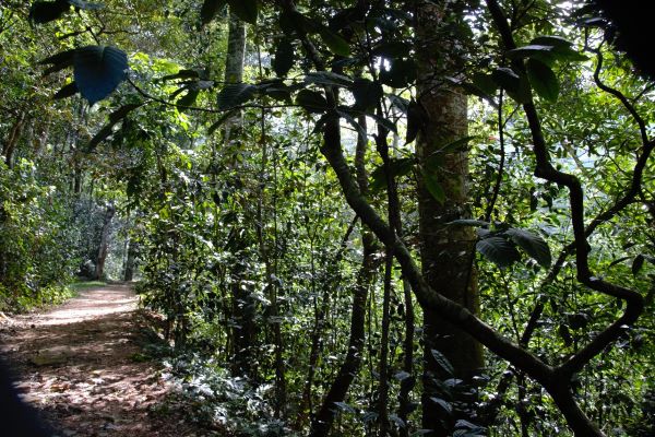 VAJIRARAMA BUDDHIST MEDITATION CENTRE (FOREST SOLITUDE) – KANDY, SRI LANKA