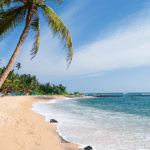 beaches