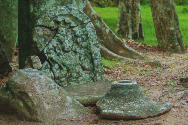Kaludiya Pokuna – The Ancient Black Water Pond of Dambulla – By Malsha – eLanka