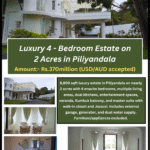 Luxury 4-Bedroom Estate on 2 Acres in Piliyandala (5)