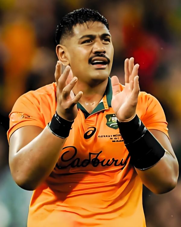 Springboks spring back to down gallant Wallabies