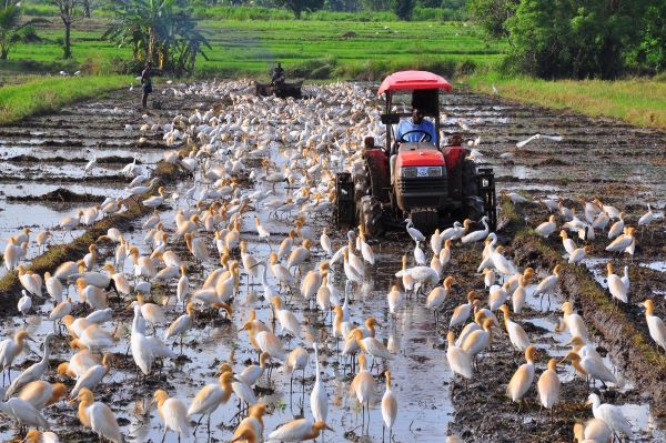 ශ්‍රී ලංකාව ගැන වාර්තා චිත්‍රපටය, මාතරට...( Documentary on Sri Lanka will be screened in Matara... )
