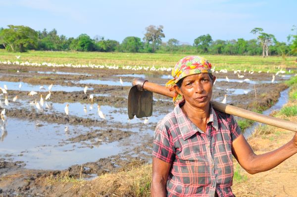 ශ්‍රී ලංකාව ගැන වාර්තා චිත්‍රපටය, මාතරට...( Documentary on Sri Lanka will be screened in Matara... )