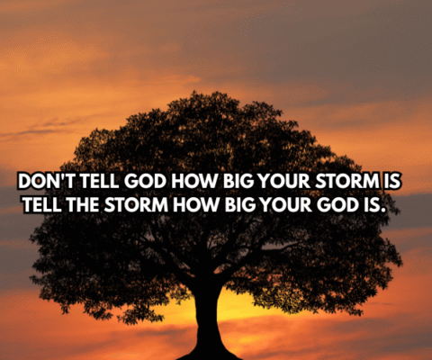 DON'T TELL GOD HOW BIG YOUR STORM IS TELL THE STORM HOW BIG YOUR GOD IS.