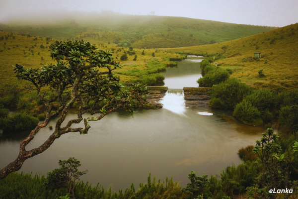 Horton Plains