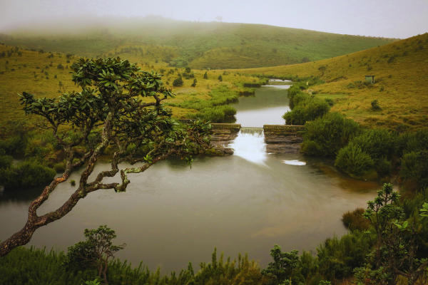 Horton Plains
