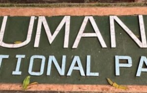 KUMANA NATIONAL PARK   IN SRI LANKA –  By Leelananda Ihalagamage in Melbourne