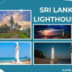 Sri Lanka lighthouses