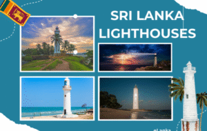Sri Lanka’s Maritime Beacons – The Story of Galle, Dondra & Trincomalee Lighthouses – By Malsha – eLanka