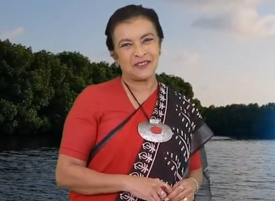 MomPower, Impermanence, T Rex Trots, Markets, Exports & Rivers ,Kaleidoscope 290