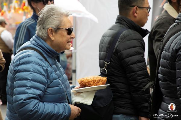 Lankan Fest 2025 – Luminary Awards