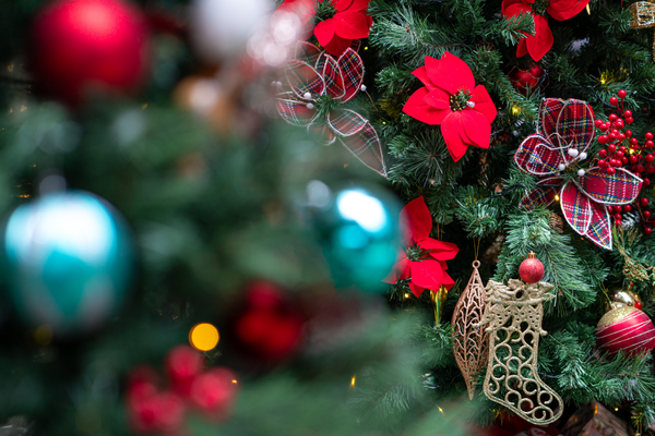 MY Christmas IN Ceylon-Sri Lanka - BY ADRIAN HARRIS