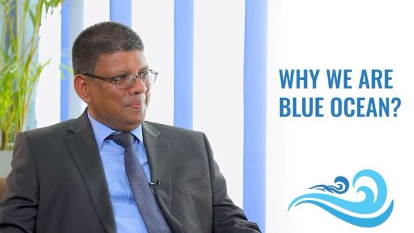 Why We Are Blue Ocean